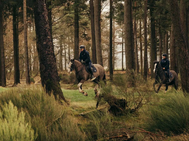 PC - Equestrian